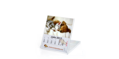 Calendario caja CD MINI